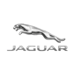 jaguar-300x300